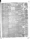 Galloway Gazette Saturday 26 January 1895 Page 3
