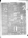 Galloway Gazette Saturday 23 February 1895 Page 3