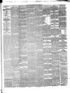 Galloway Gazette Saturday 23 March 1895 Page 3