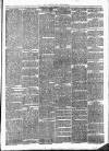 Knaresborough Post Saturday 06 March 1880 Page 3