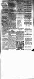 Ripley and Heanor News and Ilkeston Division Free Press Friday 03 July 1896 Page 7