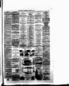 Winsford & Middlewich Guardian Wednesday 23 January 1878 Page 6
