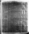 Winsford & Middlewich Guardian Saturday 20 July 1878 Page 5