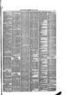 Winsford & Middlewich Guardian Wednesday 28 July 1880 Page 5