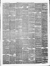 Cardigan & Tivy-side Advertiser Friday 21 January 1870 Page 3