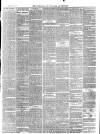 Cardigan & Tivy-side Advertiser Friday 24 February 1871 Page 3