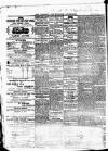 Cardigan & Tivy-side Advertiser Friday 12 September 1879 Page 4