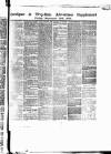 Cardigan & Tivy-side Advertiser Friday 12 September 1879 Page 5