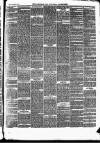 Cardigan & Tivy-side Advertiser Friday 24 October 1879 Page 3