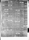 Cardigan & Tivy-side Advertiser Friday 05 December 1879 Page 3