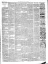 Cardigan & Tivy-side Advertiser Friday 08 February 1889 Page 3