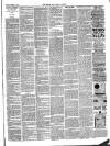 Cardigan & Tivy-side Advertiser Friday 15 March 1889 Page 3