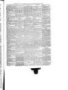 Cardigan & Tivy-side Advertiser Friday 31 May 1889 Page 5