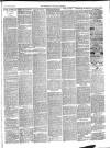 Cardigan & Tivy-side Advertiser Friday 29 November 1889 Page 3