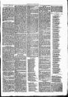 Thame Gazette Tuesday 26 December 1865 Page 3