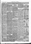 Thame Gazette Tuesday 26 December 1865 Page 7