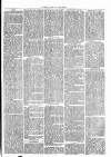 Thame Gazette Tuesday 03 April 1866 Page 3
