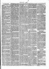 Thame Gazette Tuesday 25 December 1866 Page 3