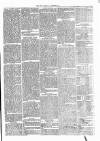 Thame Gazette Tuesday 25 December 1866 Page 7