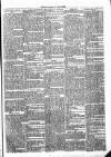 Thame Gazette Tuesday 17 December 1867 Page 3