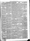 Thame Gazette Tuesday 31 December 1867 Page 5