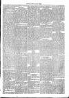 Thame Gazette Tuesday 28 January 1868 Page 3