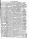 Thame Gazette Tuesday 23 June 1868 Page 5