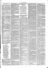 Thame Gazette Tuesday 29 December 1868 Page 3
