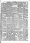 Thame Gazette Tuesday 05 January 1869 Page 3