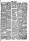 Thame Gazette Tuesday 08 June 1869 Page 3