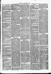 Thame Gazette Tuesday 29 June 1869 Page 3