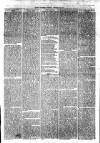 Thame Gazette Tuesday 16 January 1877 Page 7