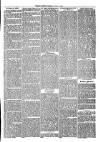 Thame Gazette Tuesday 24 April 1877 Page 3