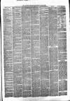 Alcester Chronicle Saturday 22 May 1869 Page 3