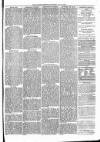 Alcester Chronicle Saturday 10 July 1869 Page 7