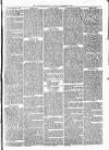 Alcester Chronicle Saturday 20 November 1869 Page 5
