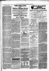 Alcester Chronicle Saturday 23 July 1870 Page 7