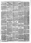 Alcester Chronicle Saturday 12 November 1870 Page 3
