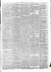 Alcester Chronicle Saturday 28 January 1871 Page 5