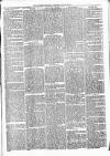 Alcester Chronicle Saturday 18 March 1871 Page 5