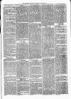 Alcester Chronicle Saturday 25 March 1871 Page 5