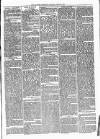 Alcester Chronicle Saturday 22 April 1871 Page 3