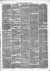 Alcester Chronicle Saturday 20 May 1871 Page 3