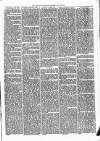 Alcester Chronicle Saturday 29 July 1871 Page 5