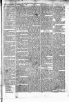 Alcester Chronicle Saturday 13 January 1872 Page 5