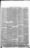 Alcester Chronicle Saturday 17 February 1872 Page 5