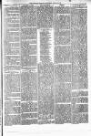 Alcester Chronicle Saturday 20 April 1872 Page 5