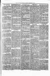 Alcester Chronicle Saturday 14 December 1872 Page 3