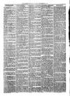 Alcester Chronicle Saturday 20 December 1873 Page 6