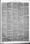 Alcester Chronicle Saturday 30 January 1875 Page 3